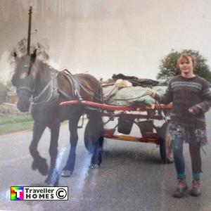 bradford flat cart