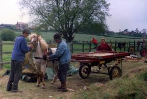 adam,jim,anna,spinner,barnstone