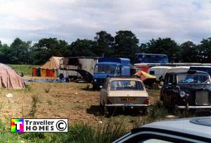 calleva