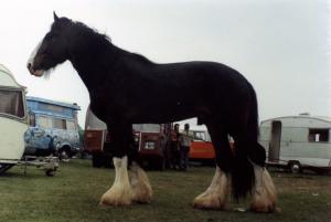 stanley,sodbury