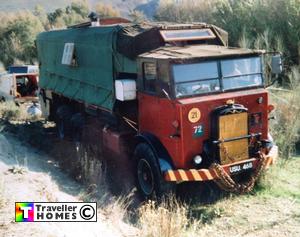 usu468,leyland,hippo