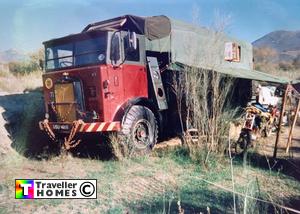 usu468,leyland,hippo