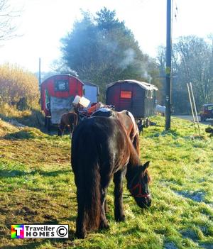 horsedrawn