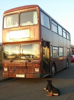 f512nje,leyland,onlxb/1r,northern counties