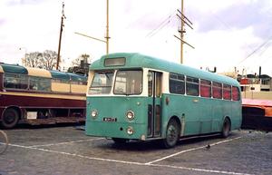 muh173,leyland,psuc1/2,weymann