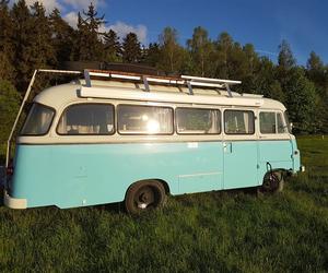 kob81,robur