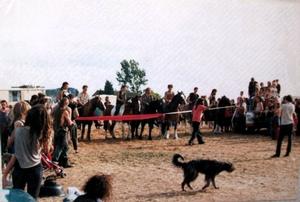 horse race