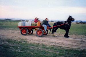 trolly,lincs