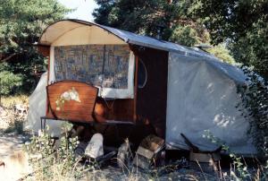 wagon,notredame