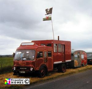 waf247t,bedford,tk,hcb angus