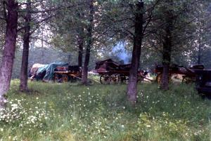 wagons,amesbury