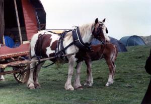 beltane,dragonhill