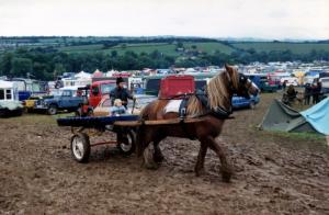 spinner,glastonbury